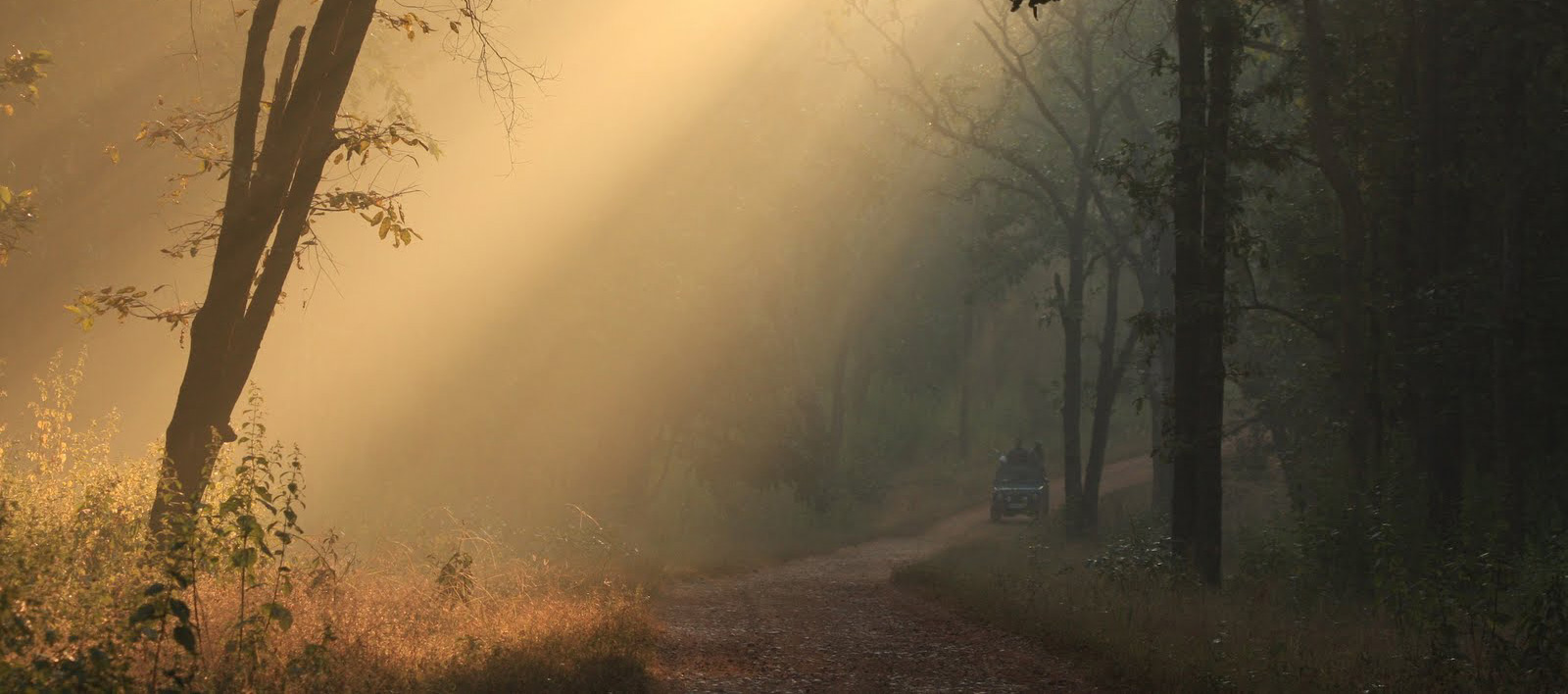 pachmarhi tour and travels